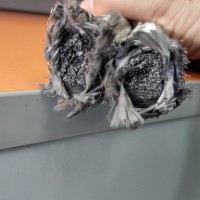 石墨盤(pán)根生產(chǎn)廠家